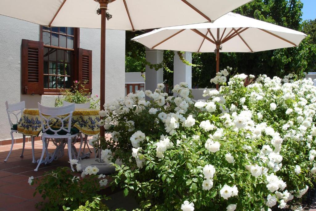 Glen Avon Lodge Boutique Hotel Cape Town Exterior photo